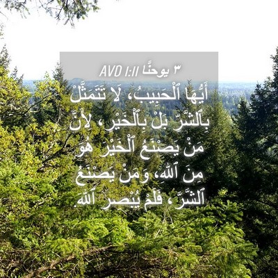 Picture 04 - ٣ يوحنَّا 1:11 AVD - أَيُّهَا ٱلْحَبِيبُ، لَا - Bible Verse Picture