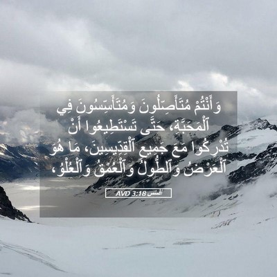 Picture 05 - أفَسُس 3:18 AVD - وَأَنْتُمْ مُتَأَصِّلُونَ - Bible Verse Picture