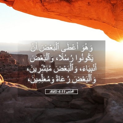 Picture 05 - أفَسُس 4:11 AVD - وَهُوَ أَعْطَى ٱلْبَعْضَ - Bible Verse Picture