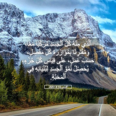 Picture 05 - أفَسُس 4:16 AVD - ٱلَّذِي مِنْهُ كُلُّ - Bible Verse Picture
