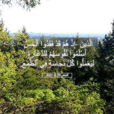Picture 05 - أفَسُس 4:19 AVD - اَلَّذِينَ -إِذْ هُمْ قَدْ - Bible Verse Picture