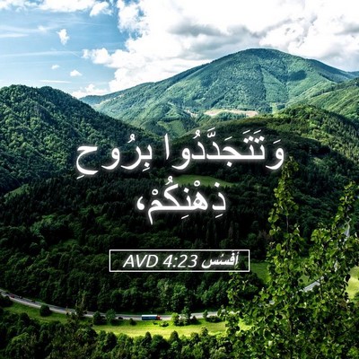 Picture 05 - أفَسُس 4:23 AVD - وَتَتَجَدَّدُوا بِرُوحِ - Bible Verse Picture