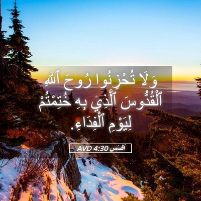 Picture 05 - أفَسُس 4:30 AVD - وَلَا تُحْزِنُوا رُوحَ - Bible Verse Picture
