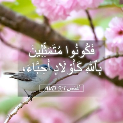 Picture 05 - أفَسُس 5:1 AVD - فَكُونُوا مُتَمَثِّلِينَ - Bible Verse Picture