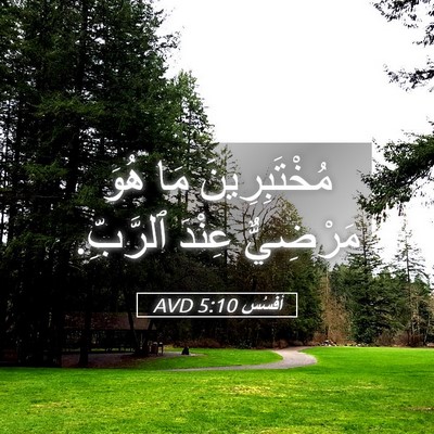 Picture 05 - أفَسُس 5:10 AVD - مُخْتَبِرِينَ مَا هُوَ - Bible Verse Picture