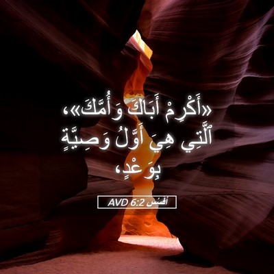 Picture 05 - أفَسُس 6:2 AVD - «أَكْرِمْ أَبَاكَ - Bible Verse Picture