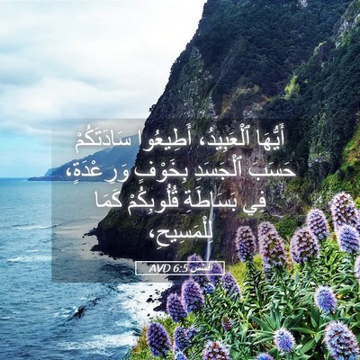 Picture 05 - أفَسُس 6:5 AVD - أَيُّهَا ٱلْعَبِيدُ، - Bible Verse Picture