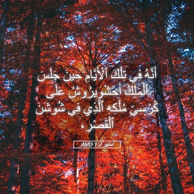 Picture 05 - أَسْتِير 1:2 AVD - أَنَّهُ فِي تِلْكَ - Bible Verse Picture