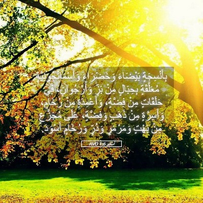 Picture 05 - أَسْتِير 1:6 AVD - بِأَنْسِجَةٍ بَيْضَاءَ - Bible Verse Picture