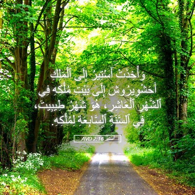 Picture 05 - أَسْتِير 2:16 AVD - وَأُخِذَتْ أَسْتِيرُ - Bible Verse Picture
