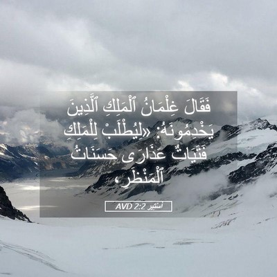 Picture 05 - أَسْتِير 2:2 AVD - فَقَالَ غِلْمَانُ - Bible Verse Picture