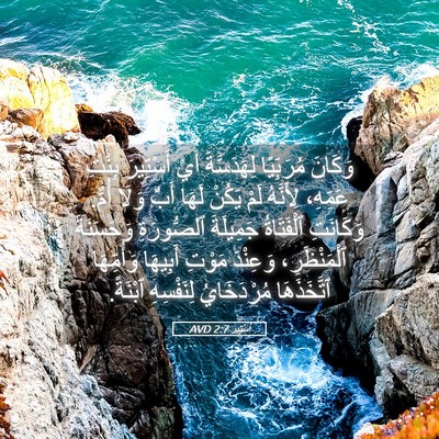 Picture 05 - أَسْتِير 2:7 AVD - وَكَانَ مُرَبِّيًا - Bible Verse Picture