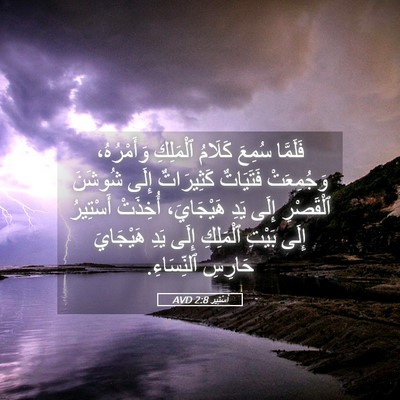 Picture 05 - أَسْتِير 2:8 AVD - فَلَمَّا سُمِعَ كَلَامُ - Bible Verse Picture