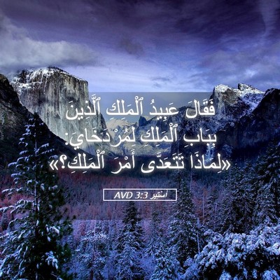 Picture 05 - أَسْتِير 3:3 AVD - فَقَالَ عَبِيدُ ٱلْمَلِكِ - Bible Verse Picture