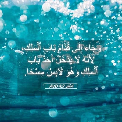 Picture 05 - أَسْتِير 4:2 AVD - وَجَاءَ إِلَى قُدَّامِ - Bible Verse Picture