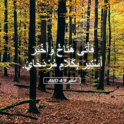 Picture 05 - أَسْتِير 4:9 AVD - فَأَتَى هَتَاخُ - Bible Verse Picture