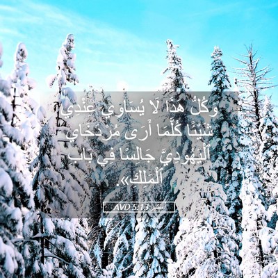 Picture 05 - أَسْتِير 5:13 AVD - وَكُلُّ هَذَا لَا يُسَاوِي - Bible Verse Picture