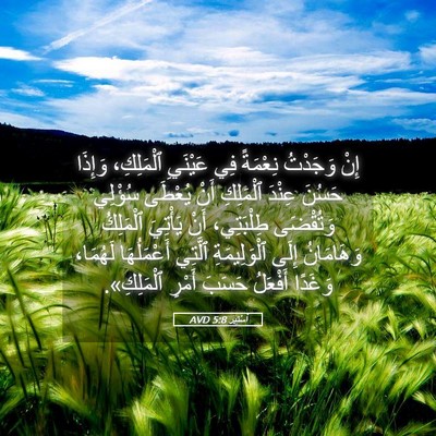Picture 05 - أَسْتِير 5:8 AVD - إِنْ وَجَدْتُ نِعْمَةً فِي - Bible Verse Picture