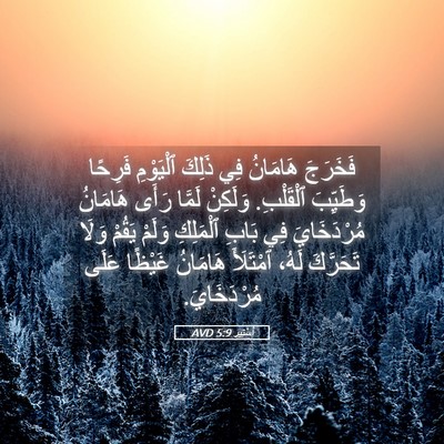 Picture 05 - أَسْتِير 5:9 AVD - فَخَرَجَ هَامَانُ فِي - Bible Verse Picture