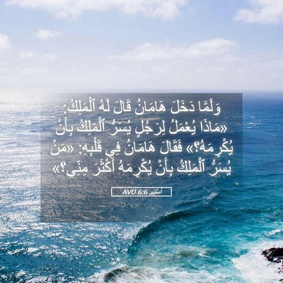 Picture 05 - أَسْتِير 6:6 AVD - وَلَمَّا دَخَلَ هَامَانُ - Bible Verse Picture