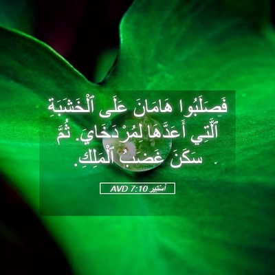 Picture 05 - أَسْتِير 7:10 AVD - فَصَلَبُوا هَامَانَ عَلَى - Bible Verse Picture