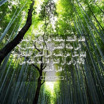 Picture 05 - أَسْتِير 7:7 AVD - فَقَامَ ٱلْمَلِكُ - Bible Verse Picture