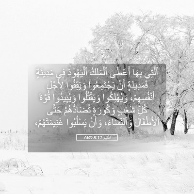Picture 05 - أَسْتِير 8:11 AVD - ٱلَّتِي بِهَا أَعْطَى - Bible Verse Picture
