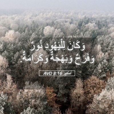 Picture 05 - أَسْتِير 8:16 AVD - وَكَانَ لِلْيَهُودِ نُورٌ - Bible Verse Picture