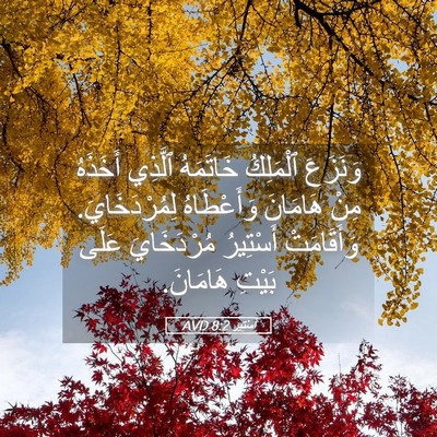 Picture 05 - أَسْتِير 8:2 AVD - وَنَزَعَ ٱلْمَلِكُ - Bible Verse Picture