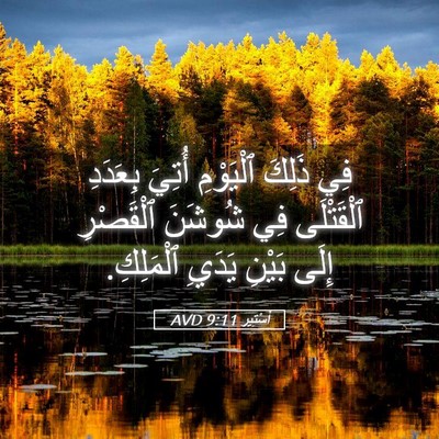 Picture 05 - أَسْتِير 9:11 AVD - فِي ذَلِكَ ٱلْيَوْمِ - Bible Verse Picture