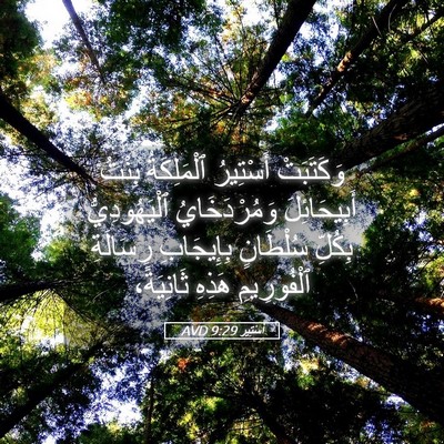 Picture 05 - أَسْتِير 9:29 AVD - وَكَتَبَتْ أَسْتِيرُ - Bible Verse Picture