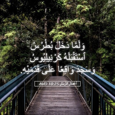 Picture 05 - أَعْمَالُ ٱلرُّسُلِ 10:25 AVD - وَلَمَّا دَخَلَ بُطْرُسُ - Bible Verse Picture