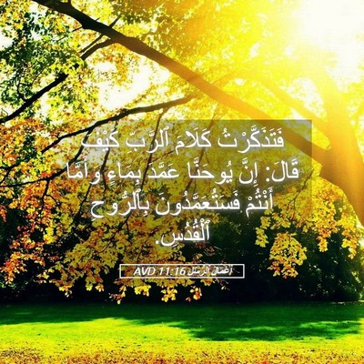 Picture 05 - أَعْمَالُ ٱلرُّسُلِ 11:16 AVD - فَتَذَكَّرْتُ كَلَامَ - Bible Verse Picture
