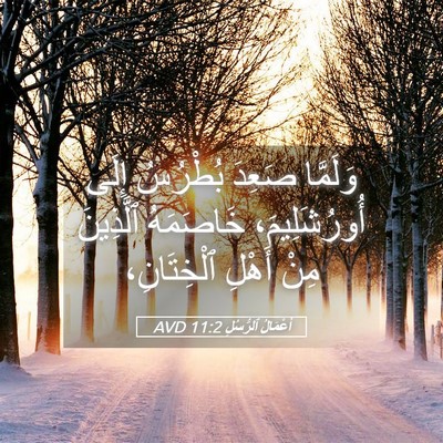 Picture 05 - أَعْمَالُ ٱلرُّسُلِ 11:2 AVD - وَلَمَّا صَعِدَ بُطْرُسُ - Bible Verse Picture