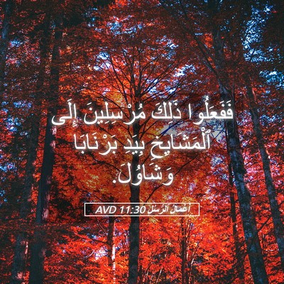 Picture 05 - أَعْمَالُ ٱلرُّسُلِ 11:30 AVD - فَفَعَلُوا ذَلِكَ - Bible Verse Picture