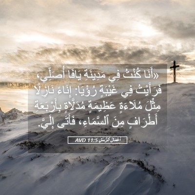 Picture 05 - أَعْمَالُ ٱلرُّسُلِ 11:5 AVD - «أَنَا كُنْتُ فِي - Bible Verse Picture