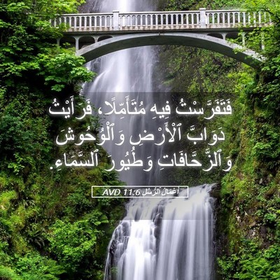 Picture 05 - أَعْمَالُ ٱلرُّسُلِ 11:6 AVD - فَتَفَرَّسْتُ فِيهِ - Bible Verse Picture