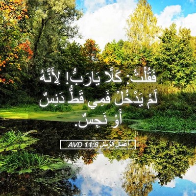 Picture 05 - أَعْمَالُ ٱلرُّسُلِ 11:8 AVD - فَقُلْتُ: كَلَّا يَارَبُّ! - Bible Verse Picture