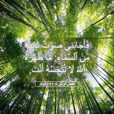 Picture 05 - أَعْمَالُ ٱلرُّسُلِ 11:9 AVD - فَأَجَابَنِي صَوْتٌ - Bible Verse Picture