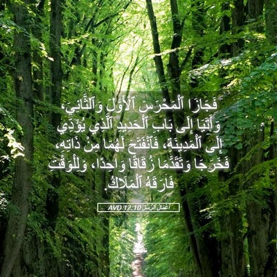 Picture 05 - أَعْمَالُ ٱلرُّسُلِ 12:10 AVD - فَجَازَا ٱلْمَحْرَسَ - Bible Verse Picture