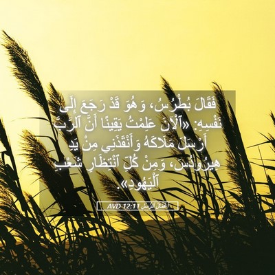Picture 05 - أَعْمَالُ ٱلرُّسُلِ 12:11 AVD - فَقَالَ بُطْرُسُ، وَهُوَ - Bible Verse Picture