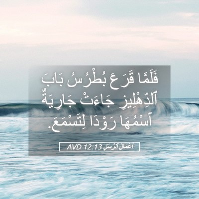 Picture 05 - أَعْمَالُ ٱلرُّسُلِ 12:13 AVD - فَلَمَّا قَرَعَ بُطْرُسُ - Bible Verse Picture