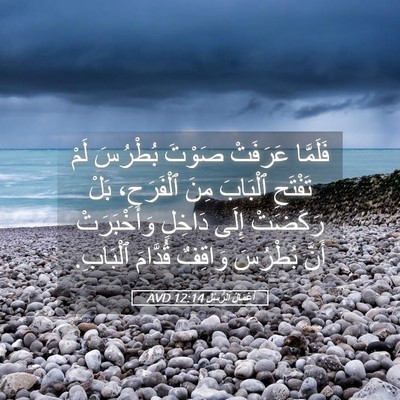 Picture 05 - أَعْمَالُ ٱلرُّسُلِ 12:14 AVD - فَلَمَّا عَرَفَتْ صَوْتَ - Bible Verse Picture