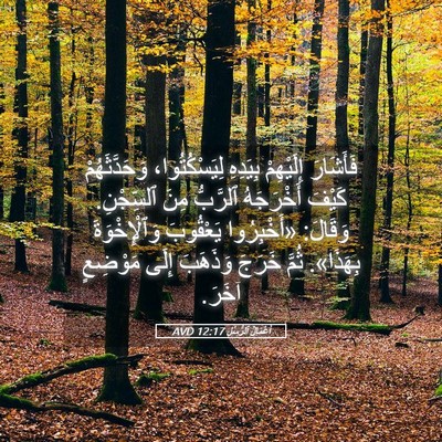Picture 05 - أَعْمَالُ ٱلرُّسُلِ 12:17 AVD - فَأَشَارَ إِلَيْهِمْ - Bible Verse Picture