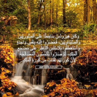 Picture 05 - أَعْمَالُ ٱلرُّسُلِ 12:20 AVD - وَكَانَ هِيرُودُسُ - Bible Verse Picture