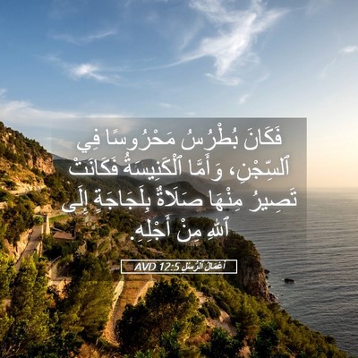 Picture 05 - أَعْمَالُ ٱلرُّسُلِ 12:5 AVD - فَكَانَ بُطْرُسُ - Bible Verse Picture
