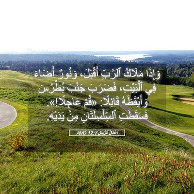 Picture 05 - أَعْمَالُ ٱلرُّسُلِ 12:7 AVD - وَإِذَا مَلَاكُ ٱلرَّبِّ - Bible Verse Picture
