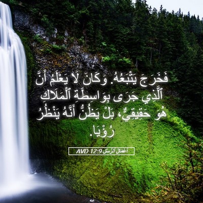 Picture 05 - أَعْمَالُ ٱلرُّسُلِ 12:9 AVD - فَخَرَجَ يَتْبَعُهُ. - Bible Verse Picture