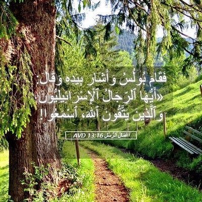 Picture 05 - أَعْمَالُ ٱلرُّسُلِ 13:16 AVD - فَقَامَ بُولُسُ وَأَشَارَ - Bible Verse Picture