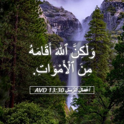 Picture 05 - أَعْمَالُ ٱلرُّسُلِ 13:30 AVD - وَلَكِنَّ ٱللهَ أَقَامَهُ - Bible Verse Picture